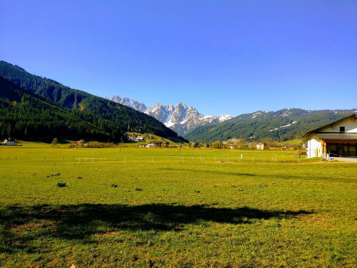 Pension Edelweiss Top 25 Gosau Exterior foto